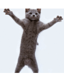 Sally Dixon - @O2XLR8 - Twitter