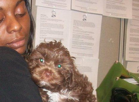 IntNLDebtSoltns's profile picture. International Debt Solutions