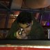 cvlin (@civilianfromda9) Twitter profile photo cvlin (@civilianfromda9) Twitter profile photo