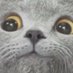 Cast (@castiscracked) Twitter profile photo Cast (@castiscracked) Twitter profile photo