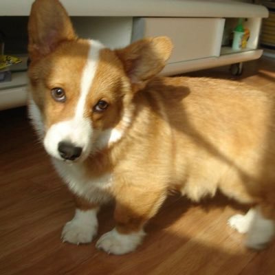 bhugo1998's profile picture. 