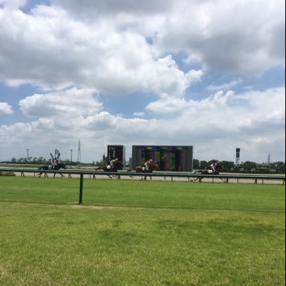 shu11e22's profile picture. TEAM TAKEDA金沢支部長を勝手に目指すサラリーマンのおじさん。時計理論の勉強、相馬眼の向上、競馬力UPが目標！俺は馬券師になる。