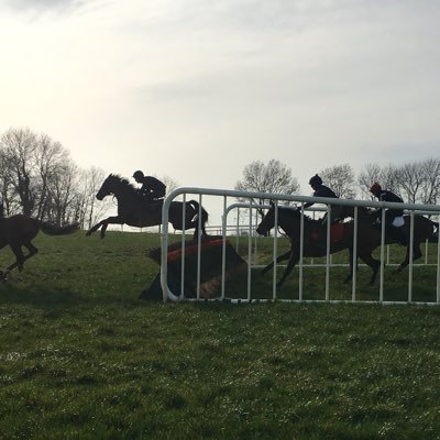 Grass, All Weather (Wexford Sand) Gallops & Schooling Races plus XC Course. To book contact @PaddyAl83 on 07706 186 495. Sun-Fri 8am until Dark. Sat 8am-12Noon