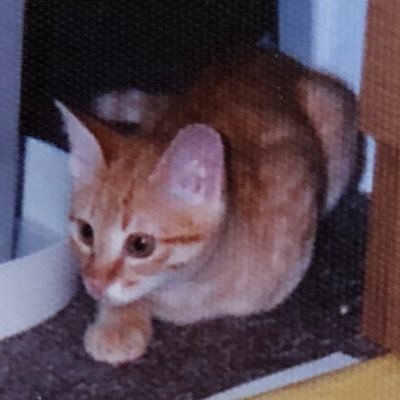 かずみん☆本当に有難うございました。さんのプロフィール画像