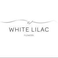 White-Lilac (@_whitelilac) 's Twitter Profile