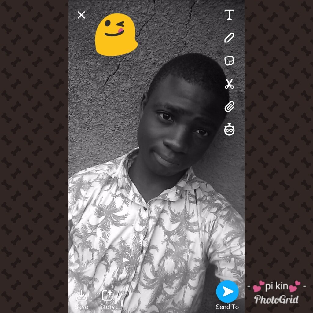 persin63's profile picture. No need