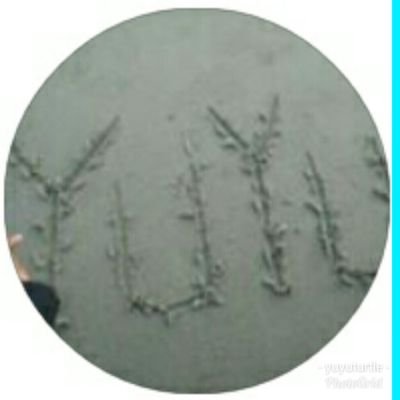 YuyuTurtle's profile picture. ❤ Always support 🍀 @kristtps 
ประตูอากาศและวันดีดี 
SKY 
You're So Beautiful 
Love Stranger 
Missing
SleepLess
#ยยขคพ #ยูยู่ของคุณพี 
🐢 Yuyu Indonesia