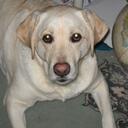 daisy sterling - @daisysterling - Twitter