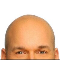 Martin Matte (@martinmatte) 's Twitter Profile