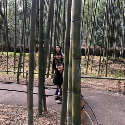 y_akari99's profile picture. 