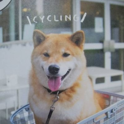 eriko_0131's profile picture. お花/フルート/ピアノ/トロンボーン/カラオケ/海外旅行(8ヵ国訪問)/英語/犬好き♪無言フォロー失礼しますm(__)m