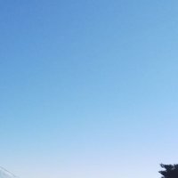 クサリギアスッスッスッ (@minteru1) 's Twitter Profile