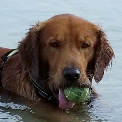 radpat0's profile picture. 