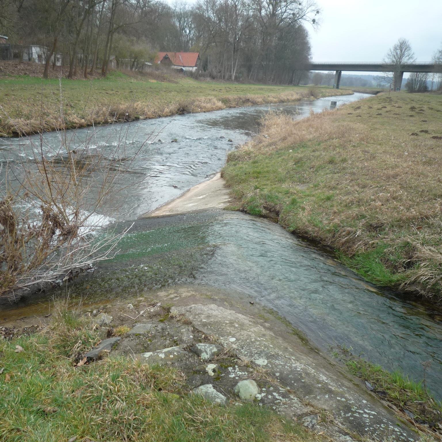 Baeche_Fluesse's profile picture. Bäche wieder als Bäche wahrnehmen. Bäche, Renaturierung, Natur, Müll. Streams, stream restoration, nature, litter. Fliegenfischen, fly fishing.
