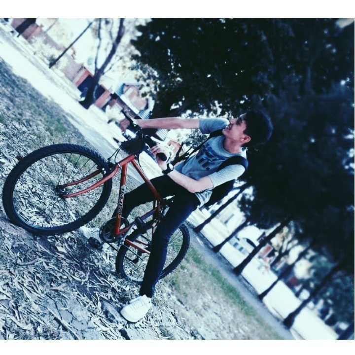 lauchagusin's profile picture. 