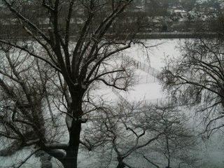 donsmug's profile picture. 