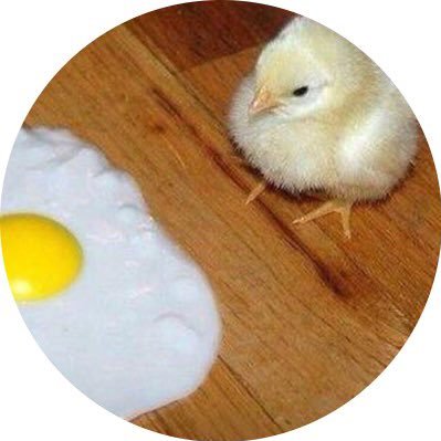 zriof's profile picture. 