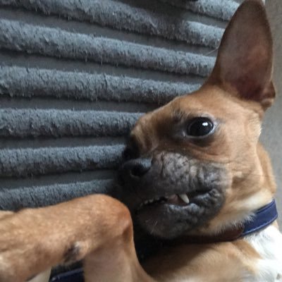 AndrewMckee1's profile picture. 