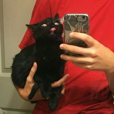 ChacaqueOff's profile picture. the only real chacaque 🤸