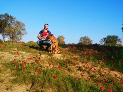 ArielIonescu's profile picture. 