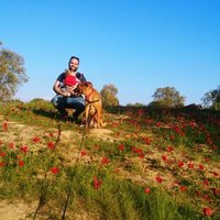 Ariel Ionescu (@arielionescu) 's Twitter Profile Photo