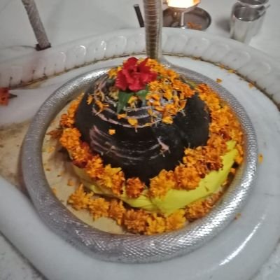 HemsBhardwaj's profile picture. 