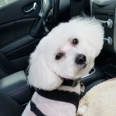 KMH0421's profile picture. 