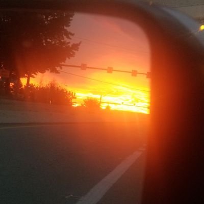 alexque24's profile picture. 