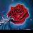 mcornell_art's profile image