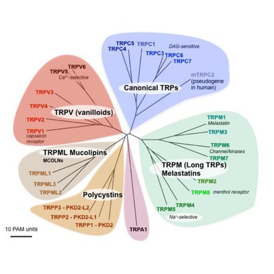Trp Channel Bot Trpchannelbot Twitter Trp Channel Bot Trpchannelbot Twitter
