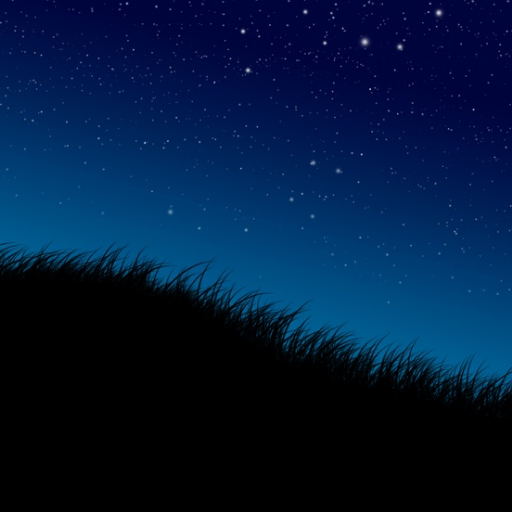 mehdithecreator's profile picture. 