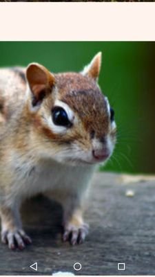 ANs1gb16H5peegN's profile picture. 悲しみの・・・・。水瓶座。テニス：Rフェデラー、大坂なおみ。。必殺技：アブドミナルストレッチ、グレープパインホールド。Boxer：マニー・パッキャオ、カシアス・クレイ。YouTuber：めーやん、坊まー。