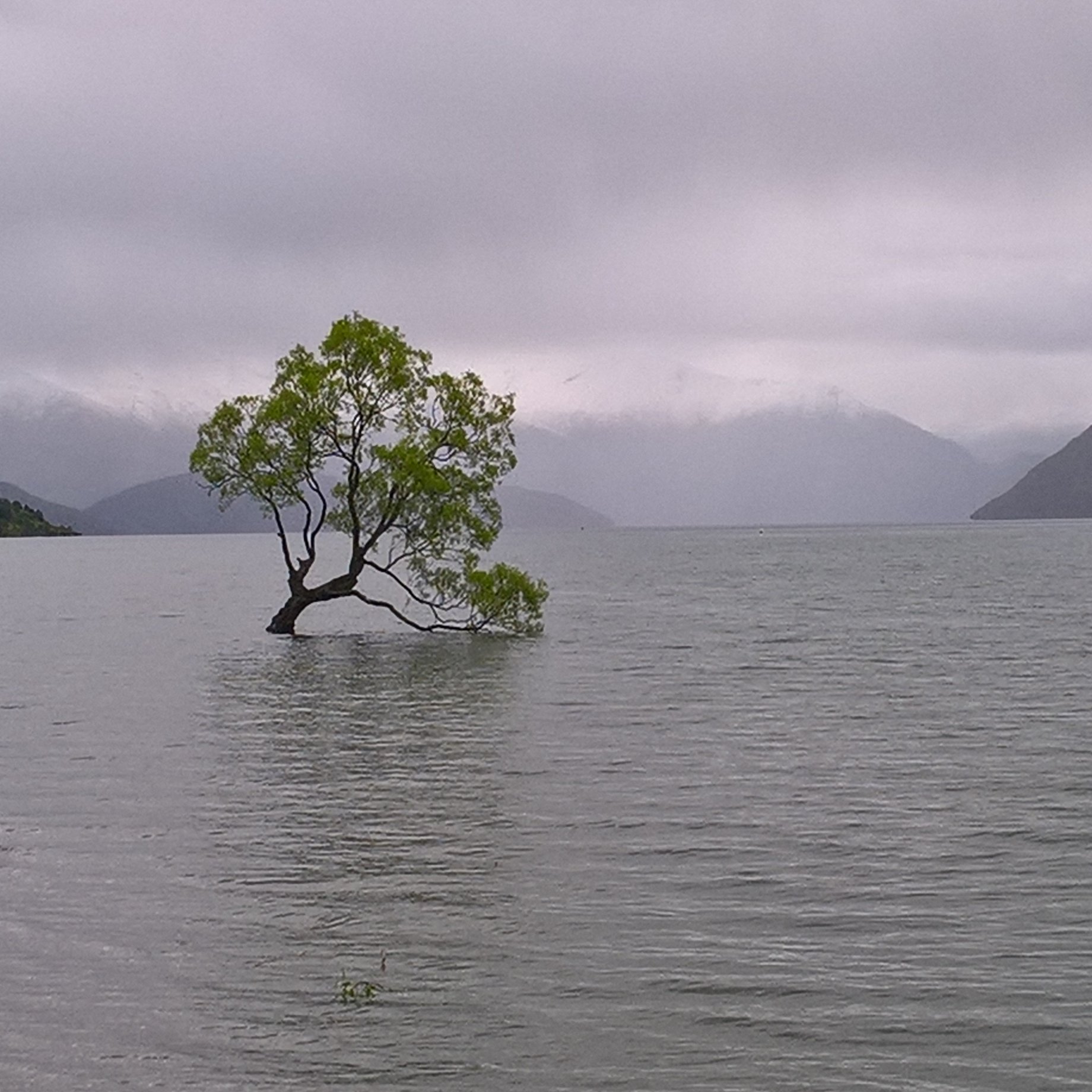 jbalajas1's profile picture. Responsable pôle agronomie France Olive