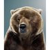 The Dirty Bear (@anonymous_b3ar) Twitter profile photo The Dirty Bear (@anonymous_b3ar) Twitter profile photo