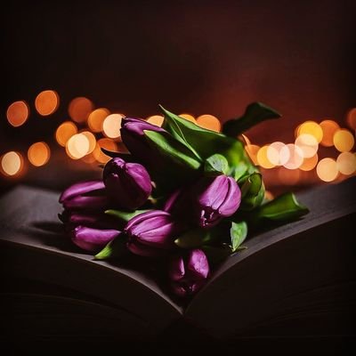❤️رونق الحياة❤️