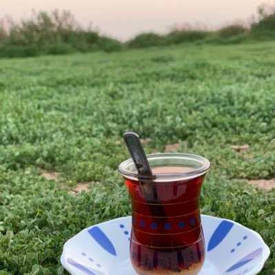 DeSourcier's profile picture. Rien