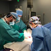 Nicolas Devaud, MD (@devaud_nicolas) 's Twitter Profile