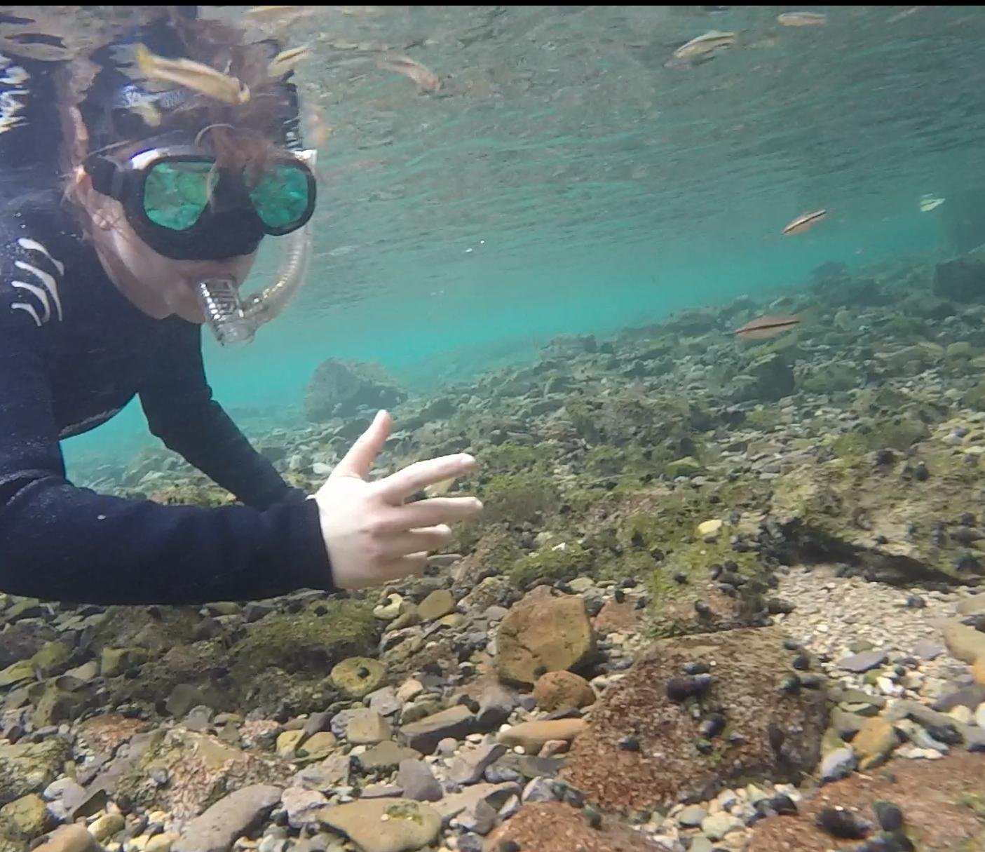 PhD candidate at Ohio University studying the consequences of evolving multiple mating strategies in swordtail fish
