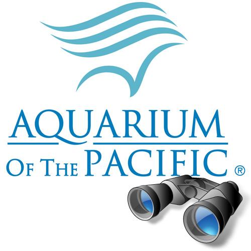 This is the Aquarium of the Pacific's wildlife and whale watch sighting account. @AquariumPacific