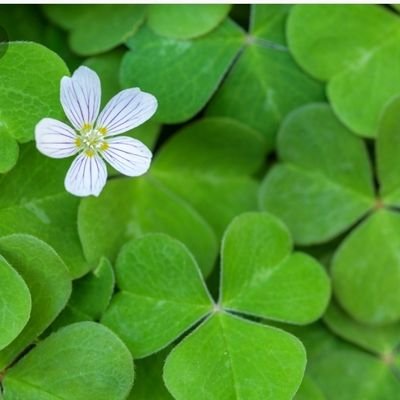 SmithTom33's profile picture. #LFC #Celtic & Heavy Metal
#Think32