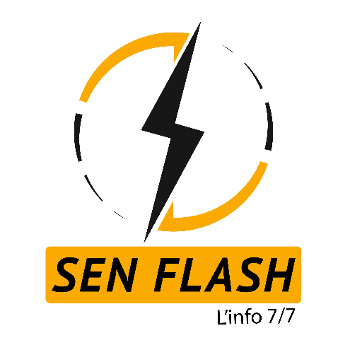 senflash7 Profile Picture