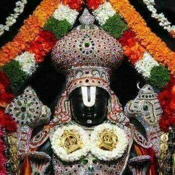 Manhara51018721's profile picture. Manharan Sahu