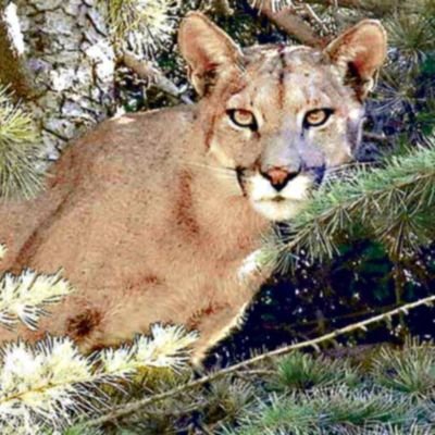 Jorge34916050's profile picture. 