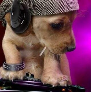 Paerangi's profile picture. 