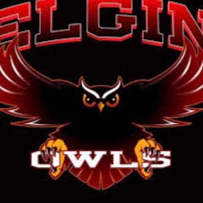 Elgin Owls Basketball Profile