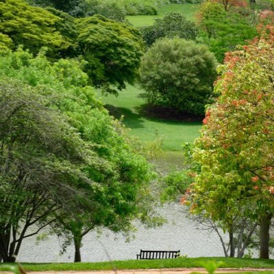 RicardoDelneri's profile picture. 