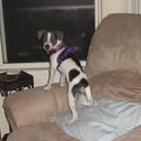 Paula Storm - @PaulaLStorm - Twitter