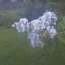 Jacob Lanier - @VansWarpedTour1 - Twitter