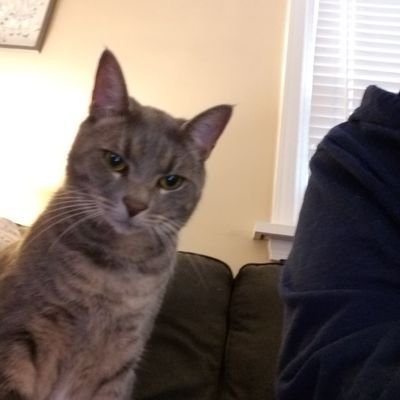 AimeeLW13's profile picture. 