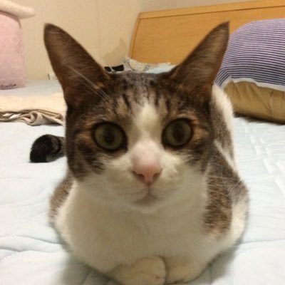 nWqY4Y627Os5A7H's profile picture. 